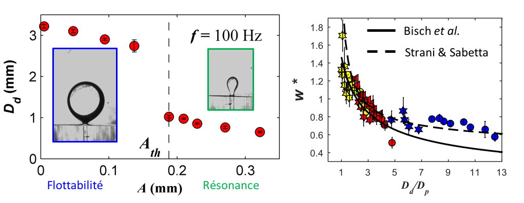 effet amplitude forçage